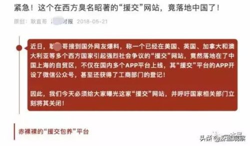 全国援交企业排名前十(世界500强中国企业名单)插图5