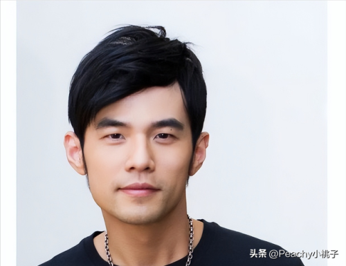 明星知名度排行榜(知名度最高的明星)插图6