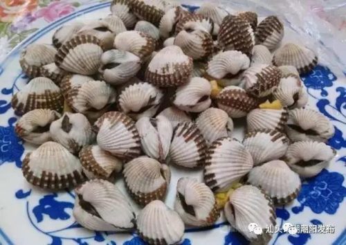 潮阳水库美食排名前十(水头小吃哪里最好吃)插图16