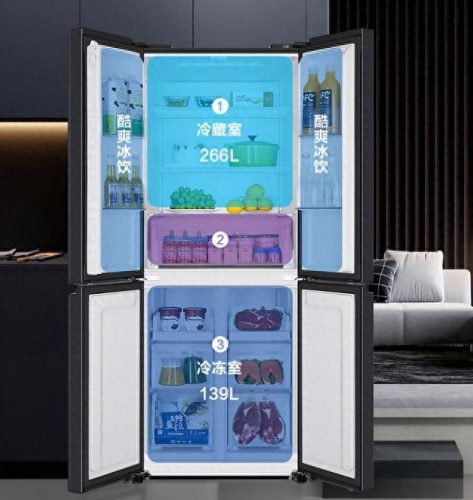 世界冰箱十大名牌排行榜(世界顶级奢侈冰箱)插图9