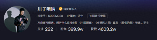 十大唢呐电音曲目排行榜(唢呐电音完整版)插图23