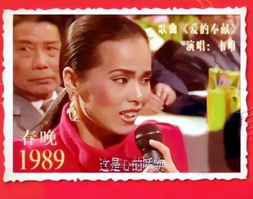 少数民族女歌手排行榜(中国朝鲜族的明星)插图4