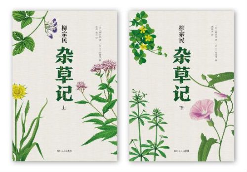 2017年好书推荐排行榜(年度畅销书排行榜)插图10