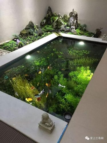 十大鱼缸品种排行榜(十大鱼缸排名前十名)插图8
