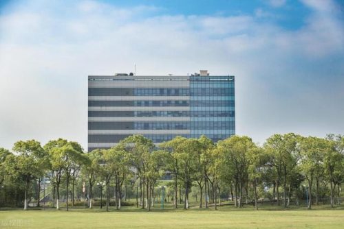 上海最美的大学排行榜(上海必去的地方排名)插图10