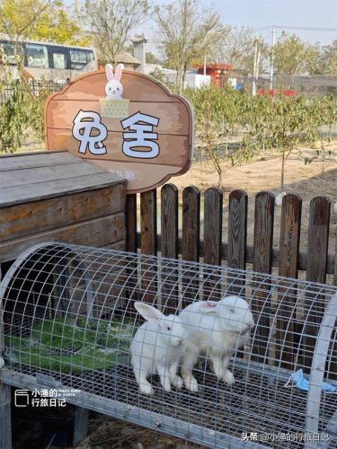 高陵小众景点排名前十(高陵周边游玩景点推荐)插图8