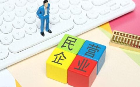 绵阳经开区企业排名前十(绵阳经开区最好的项目)