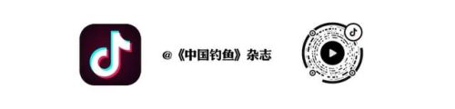 鱼具加盟店排行榜(渔具连锁店有哪些品牌)插图10