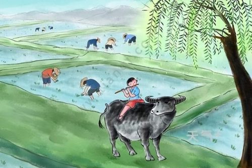 村晚的意思诗意(四时田园杂兴的诗意)插图2