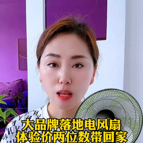 落地风扇排行榜(工业风扇)插图