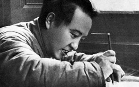 王明的这一生简介(李德)
