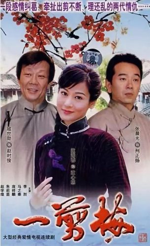 怀旧的电视剧(80年代农村电视剧100部)插图4