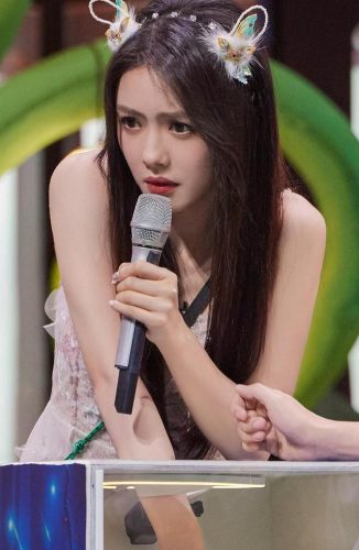 郑爽女明星排行榜(郑爽的人气到底有多高)插图38