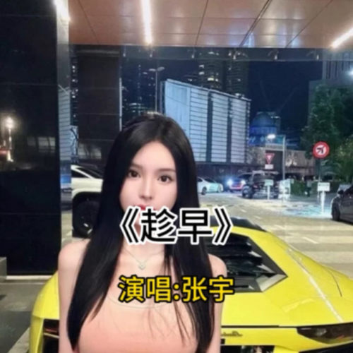 趁早张宇歌词(相爱要趁早张宇)插图