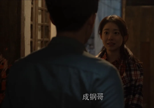 戚成钢的结局(一成和项南方有孩子吗)插图4