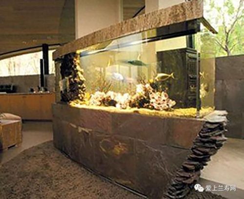 十大鱼缸品种排行榜(十大鱼缸排名前十名)插图4
