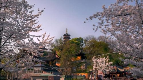 南京风景区排行榜(南京旅游哪里好玩)插图24