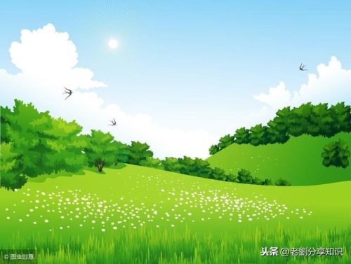 脑畔的拼音(接踵而至的拼音)插图3