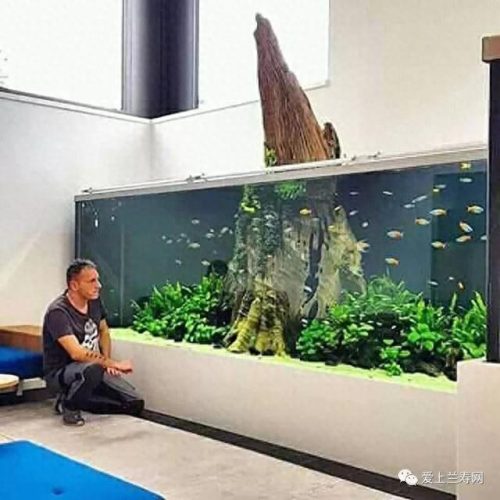 十大鱼缸品种排行榜(十大鱼缸排名前十名)插图11