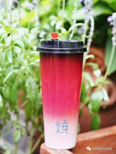 北京网红排行榜(北京有名的网络红人)插图15