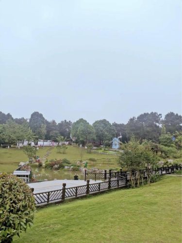 重庆露营经济排名前十(重庆自驾露营地排行)插图21