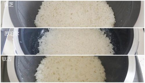 进口电饭锅品牌排行榜(世界十大品牌电饭煲)插图18