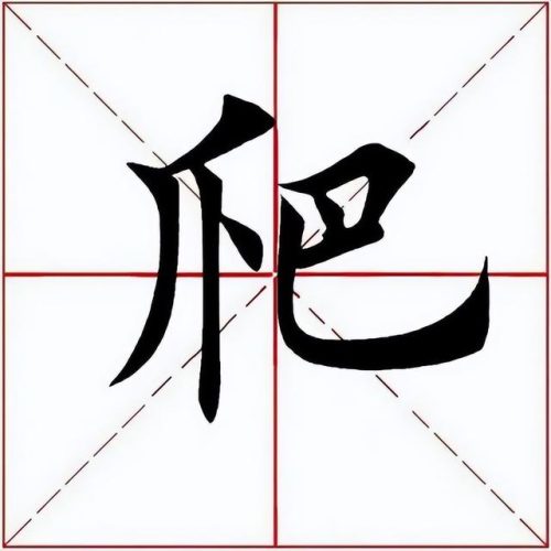 爬是什么结构(爬属于半包围结构吗)插图2
