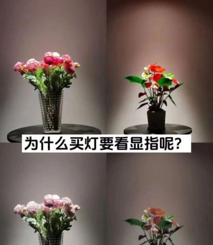 客厅射灯品牌排名前十(家用射灯品牌排行前十名)插图2