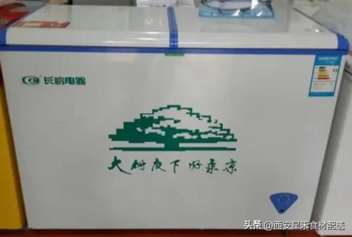 阿里斯顿冰箱排行榜(冰箱高端品牌排行榜)插图1