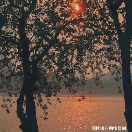 所有歌曲排行榜(2023网络歌曲排行榜)插图4
