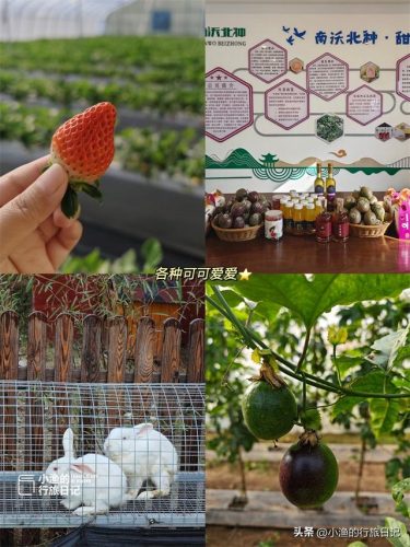 高陵小众景点排名前十(高陵周边游玩景点推荐)插图1