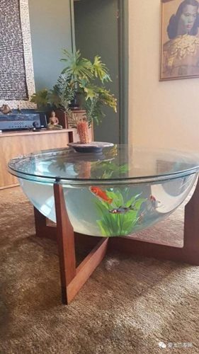 十大鱼缸品种排行榜(十大鱼缸排名前十名)插图44