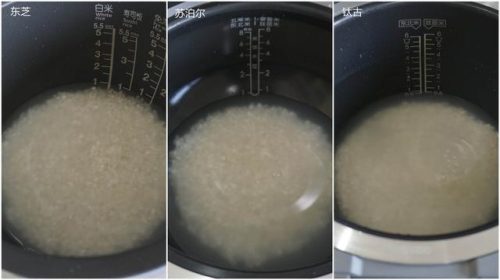 进口电饭锅品牌排行榜(世界十大品牌电饭煲)插图15
