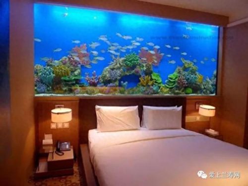 十大鱼缸品种排行榜(十大鱼缸排名前十名)插图32