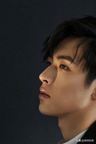 广东最佳演员排名前十(广东的演员明星有哪些)插图14