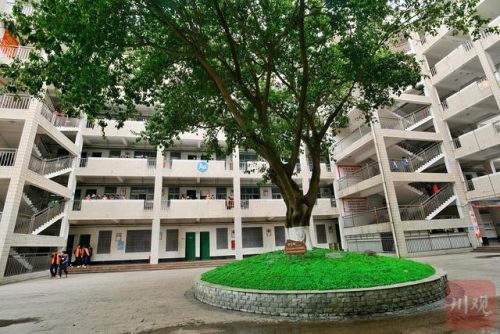 绵阳民族中学(绵阳富乐国际学校排名第几呀)插图1