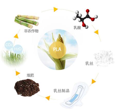午后卫生巾排行榜(中国卫生巾十大名牌排名)插图3