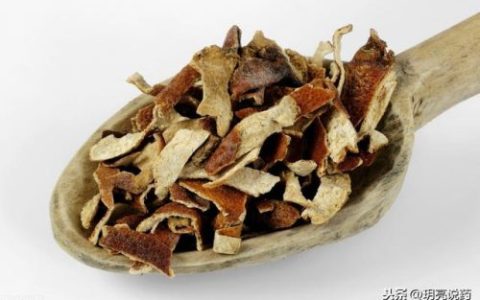 儿童咳嗽药排行榜图片(十大最佳止咳化痰药)