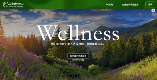 中国直销业绩排行榜(最新直销公司名单公布)插图12