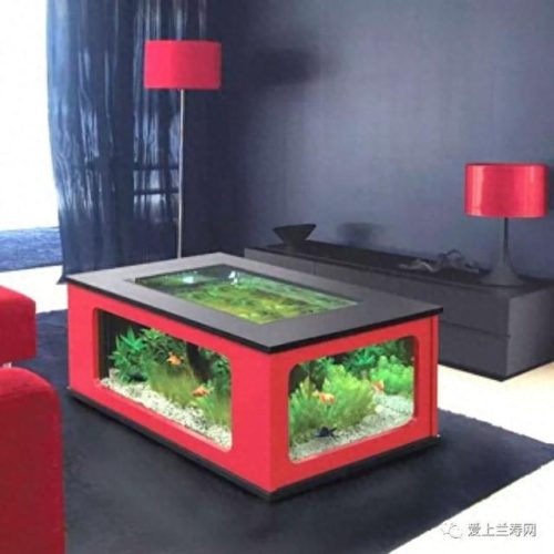 十大鱼缸品种排行榜(十大鱼缸排名前十名)插图12