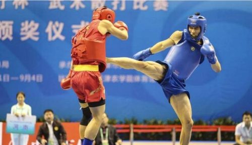 河南打拳高手排名前十(河南武术高手)插图14