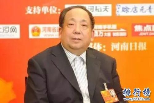 2015河南富豪排行榜(河南前100名富豪)插图1