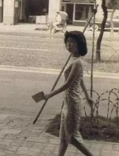 费翔的老婆(费翔与刘文正什么关系)插图7