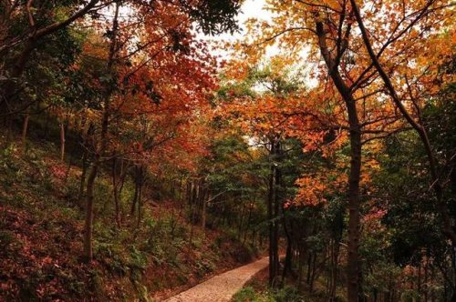 北仑区小众景点排名前十(小众旅游)插图15