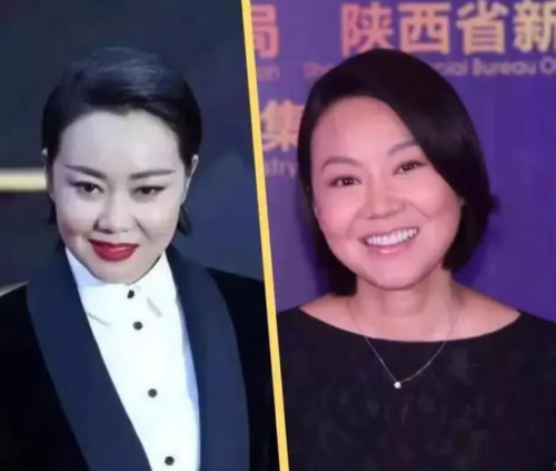中年女演员排行榜(50以上中老年女演员)插图9