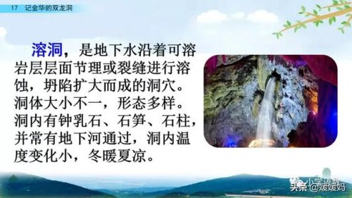 鹃的拼音和组词(鹃什么词语)插图7