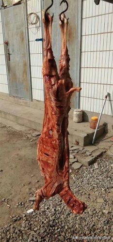 十渡农家院排行榜(农家院哪里好)插图12