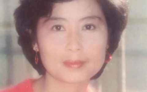小辰老师(上海电视台小辰老师)