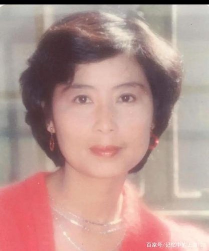 小辰老师(上海电视台小辰老师)插图