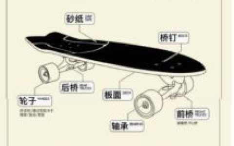 冲浪板十大品牌排行榜(十大板材品牌排行榜)